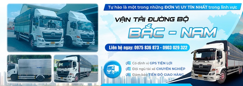  - Công Ty TNHH Thương Mại Và Dịch Vụ Vận Tải Long Phát